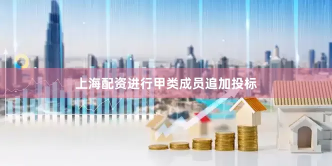 上海配资进行甲类成员追加投标