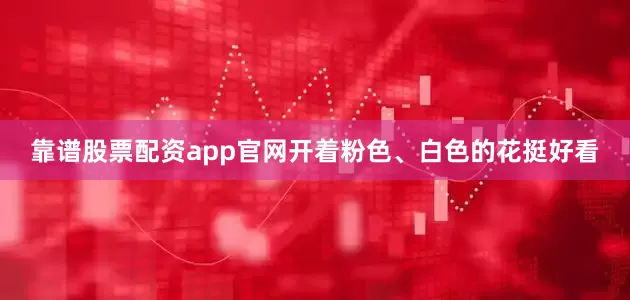 靠谱股票配资app官网开着粉色、白色的花挺好看