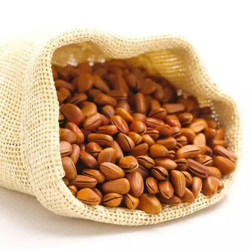 大雪時(shí)節(jié)養(yǎng)生，干果助您暖身又滋補(bǔ)